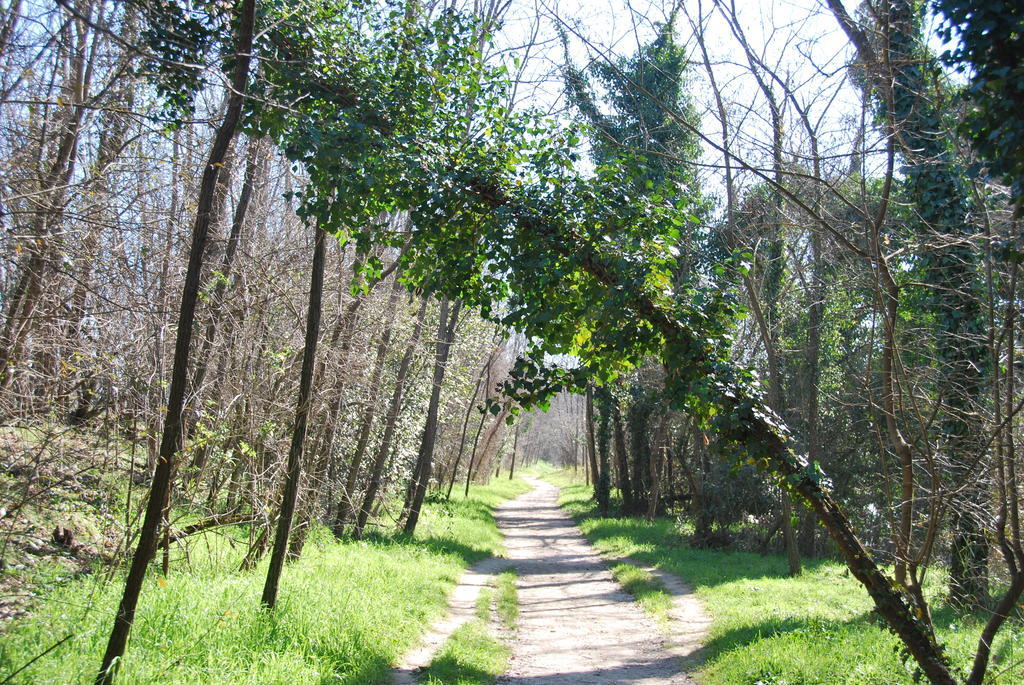B&B Percorso Verde Ponte Valleceppi Extérieur photo